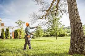  Brownsville, FL Tree Removal and Landscaping Services Pros